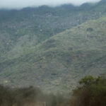 Au Kenya, l&rsquo;agroforesterie et la production de miel favorisent la préservation environnementale.