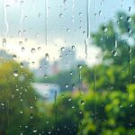 La recherche révèle que la saleté sur les vitres provient d’autres sources que la pluie.