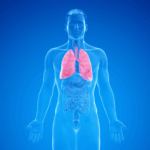 Un gène identifié pourrait expliquer les dommages pulmonaires causés par le tabac.