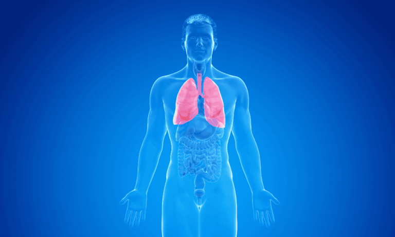 Un gène identifié pourrait expliquer les dommages pulmonaires causés par le tabac.