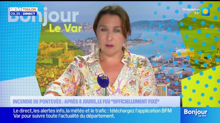 Le gouvernement français annonce de nouvelles mesures pour réduire les émissions de CO2 dans le secteur automobile.