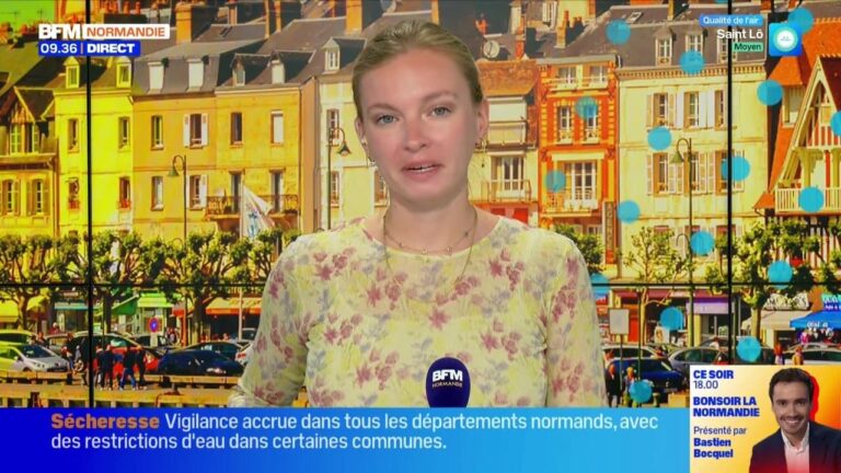 La Normandie renforce ses mesures de sécurité pour les événements estivaux