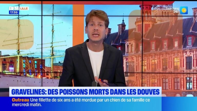 Lille renforce ses mesures de sécurité après une série d’incidents dans le secteur public.