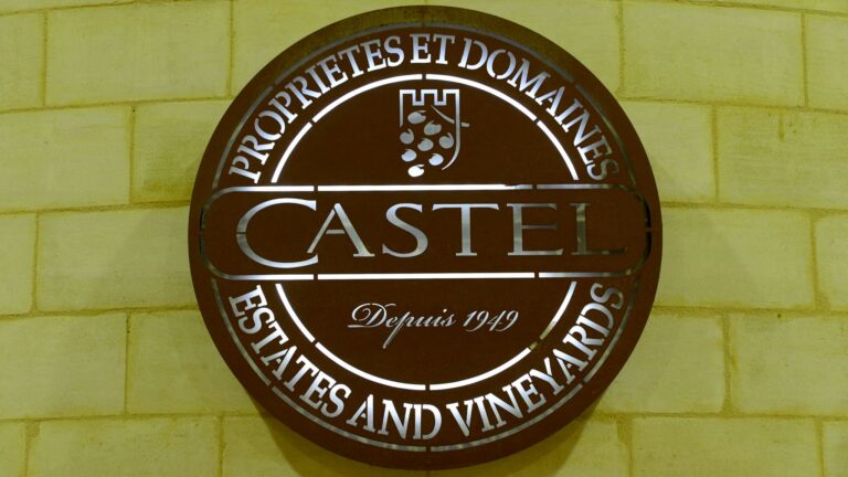 La justice de Singapour rejette le recours du DG du groupe Castel contre son éviction.