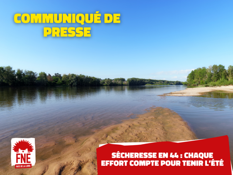 Sécheresse en 44 : les agriculteurs mobilisent des ressources pour l’été.