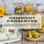 Méthodes de conservation des courgettes pour prolonger leur durée de vie alimentaire