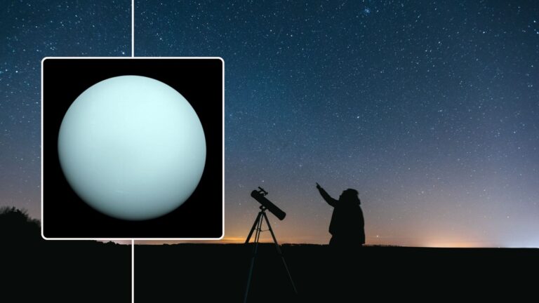 Observation de la planète Uranus : conseils pour l’identifier cette semaine.
