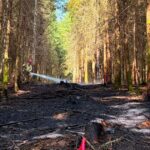 Feu de forêt en province de Namur : mesures efficaces pour limiter les dégâts.