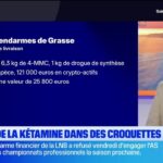 Kétamine cachée dans des paquets de croquettes : enquête ouverte en France.