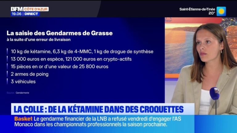 Kétamine cachée dans des paquets de croquettes : enquête ouverte en France.
