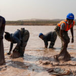 L’Afrique renforce son rôle dans l’exploitation des minéraux critiques pour l’économie mondiale.