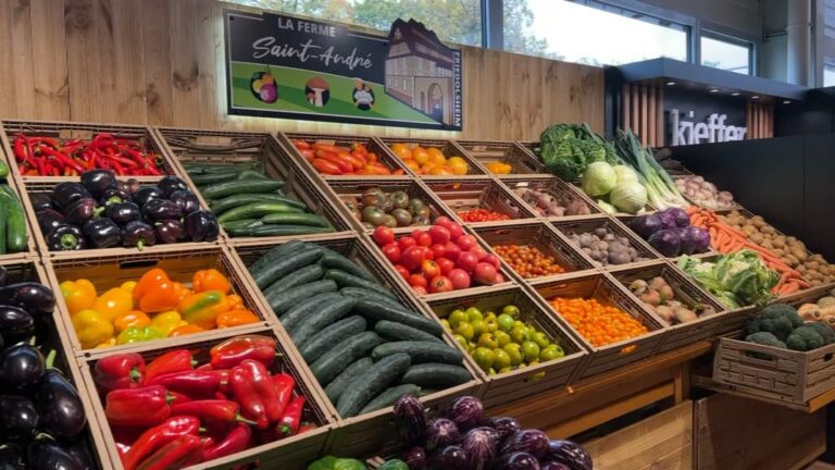 Familles Rurales signale une hausse des prix des légumes, +31% pour les tomates grappes et +24% pour les haricots verts
