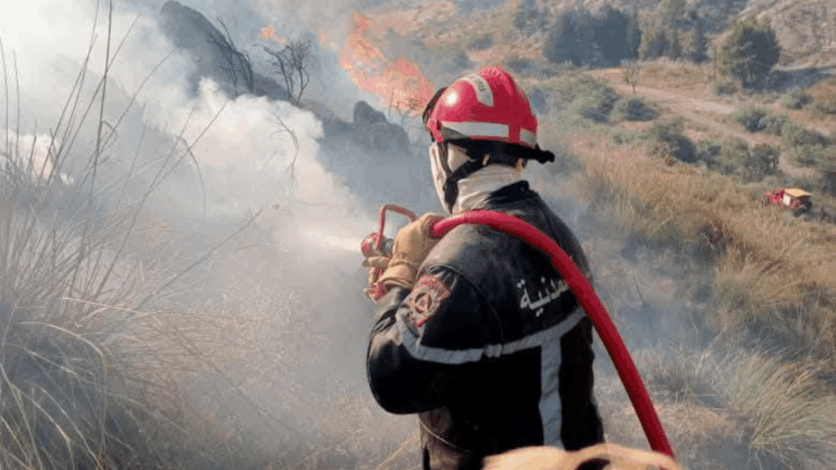 Incendies en Algérie : une gestion efficace face à une vague inédite de feux