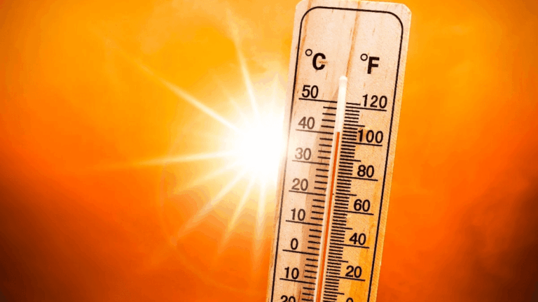 Alerte rouge canicule en Algérie : températures atteignant 48 °C sur le littoral.