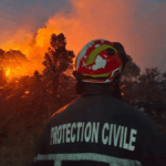 Feux de forêt en Algérie : les pompiers luttent contre des flammes persistantes