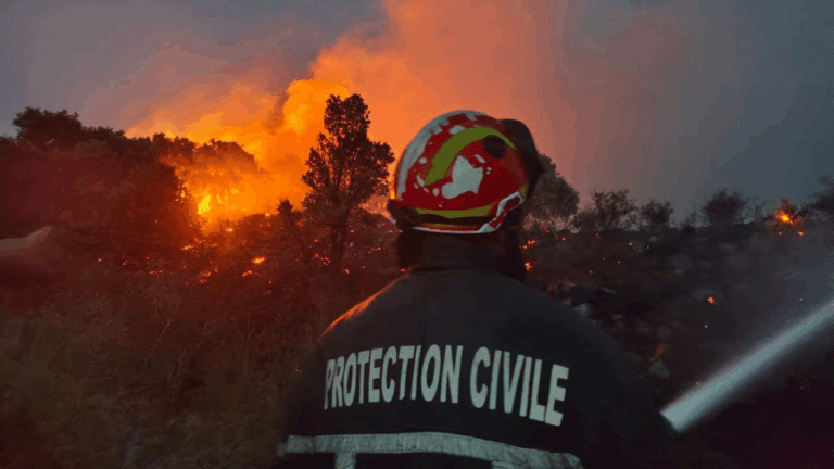 Feux de forêt en Algérie : les pompiers luttent contre des flammes persistantes