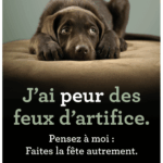 PETA recommande des précautions pour protéger les animaux lors des festivités du 14 juillet.