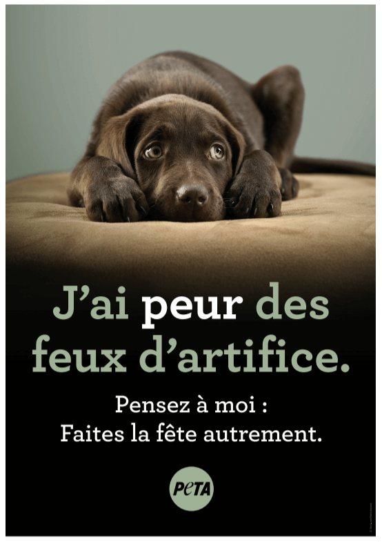 PETA recommande des précautions pour protéger les animaux lors des festivités du 14 juillet.