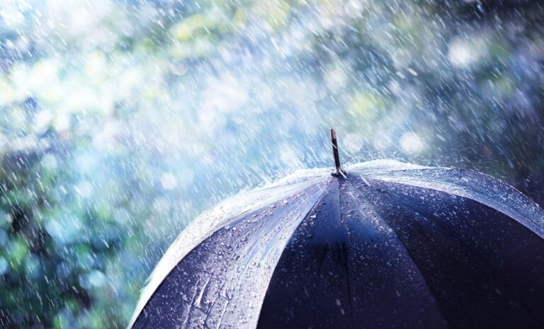 El Niño d’intensité historique : 81 % de probabilité d’un phénomène majeur en France et en Europe cet hiver.