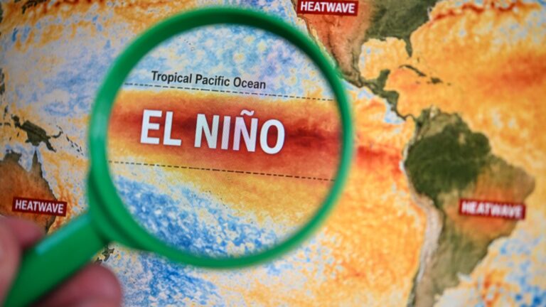 Pertes liées aux catastrophes naturelles atteignent 44 milliards de dollars, hausse prévue avec El Niño.
