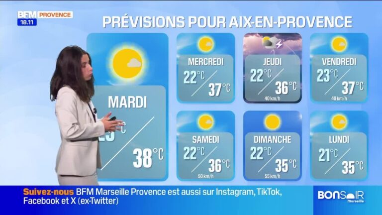 Émission de nouvelles sur les résultats des élections locales en France ce mois-ci.