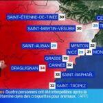 Lancement d&rsquo;une nouvelle politique environnementale par le gouvernement pour réduire les émissions.