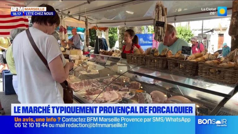 Lancement d’une nouvelle politique environnementale par le gouvernement français en juillet 2026.