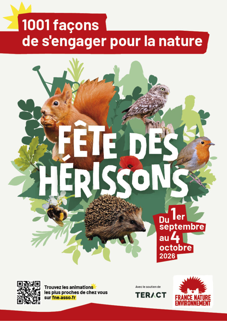 Affiche officielle de la Fête des Hérissons dévoilée par l’Association de protection animale