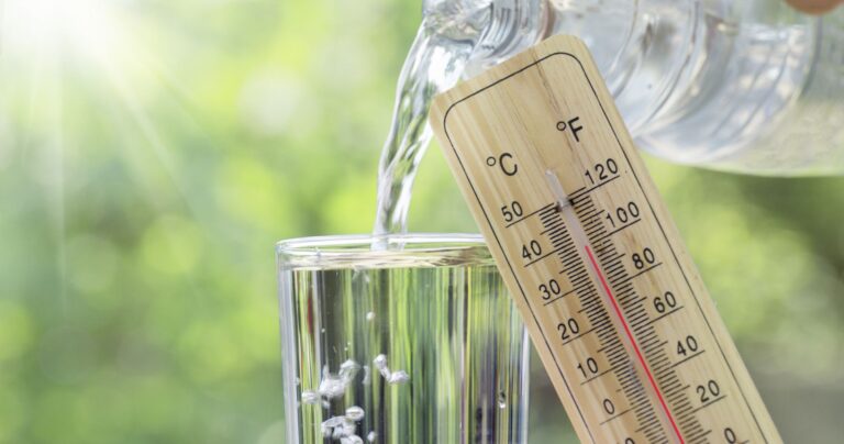 Canicule en Algérie : températures atteignant 49 °C jusqu’à mardi, alertes en cours