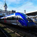 Un chat écrasé par un train à Gare de Lyon : les propriétaires alertés en 20 minutes.
