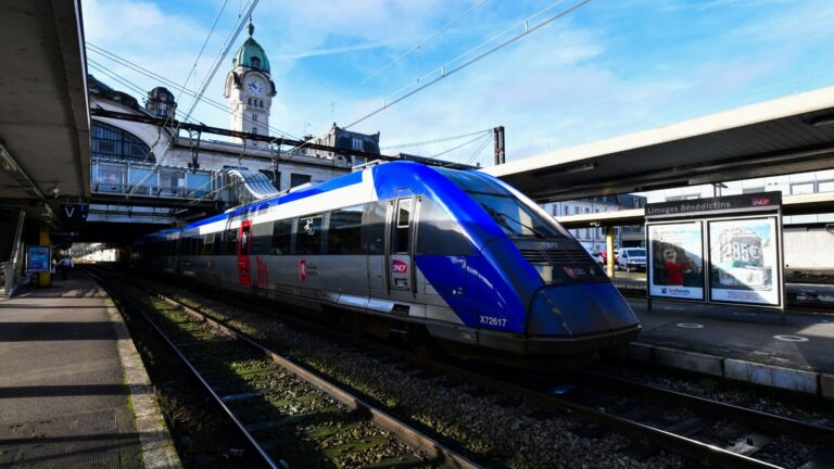 Un chat écrasé par un train à Gare de Lyon : les propriétaires alertés en 20 minutes.
