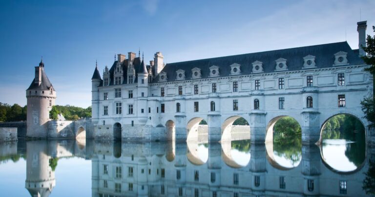 Châteaus, jeux, hibous : Une évolution vers la fin des pluriels en « x » en français ?