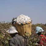 Le textile africain émerge comme alternative aux importations asiatiques.