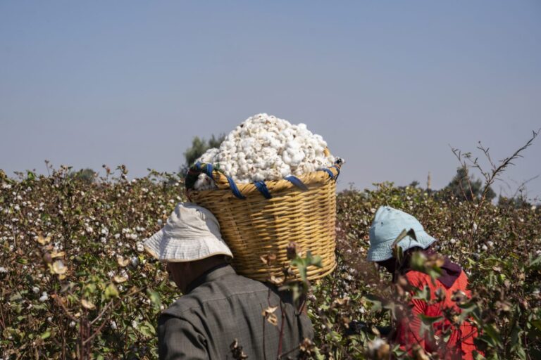Le textile africain émerge comme alternative aux importations asiatiques.