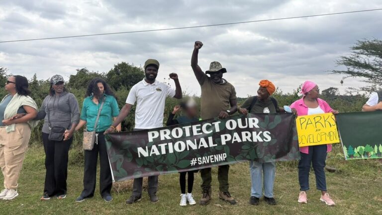 Kenya : des militants s’opposent à la création d’un orphelinat animalier à Nairobi