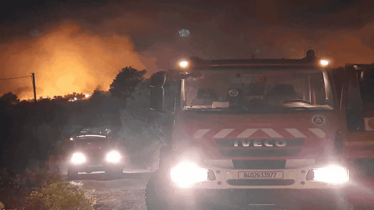 Incendies en Algérie : la Protection civile mobilise ses équipes dans plusieurs wilayas.