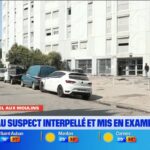Incendie criminel aux Moulins : un suspect arrêté et mis en examen par la police.