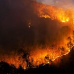 Incendies : 115 000 hectares détruits, risque accru avec des températures de 40 °C.