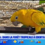 L&rsquo;Été chez Nous à Pairi Daiza : des activités familiales proposées par le parc zoologique belge