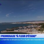 Une promenade « à fleur d’étang » à Berre attire les visiteurs de la région.
