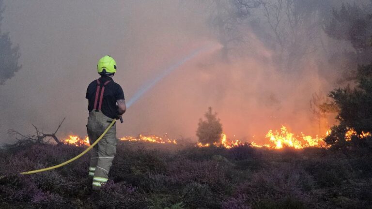Incendie en Angleterre : EDF confirme la sécurité de ses centrales nucléaires voisines.