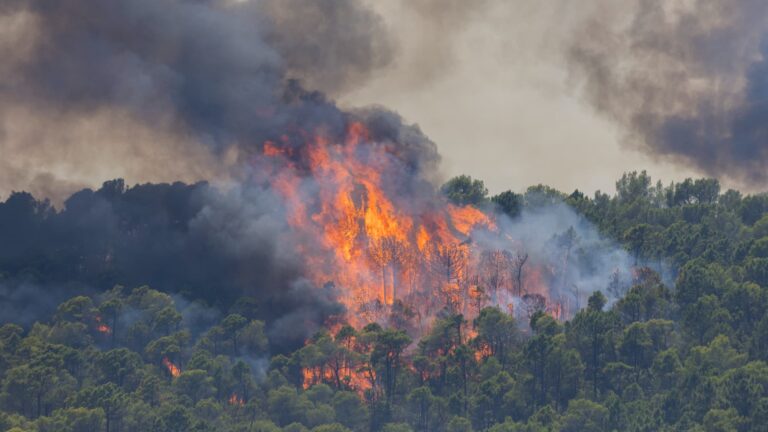 Incendie dans le Var : 2.700 hectares touchés, 1.000 pompiers mobilisés pour stabilisation.