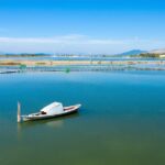 Salines de Missolonghi : exploitation de l&rsquo;or blanc en Grèce et enjeux environnementaux