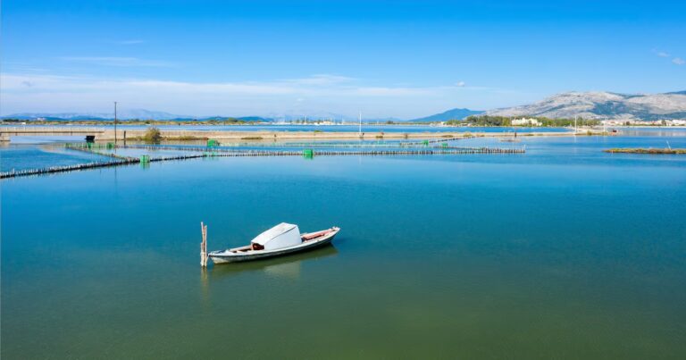 Salines de Missolonghi : exploitation de l’or blanc en Grèce et enjeux environnementaux