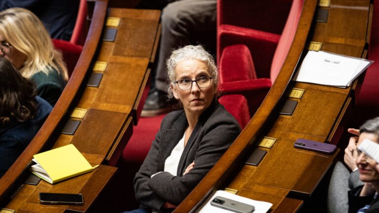 Tensions chez Lidl : Delphine Batho signale des pratiques de publicité mensongère.