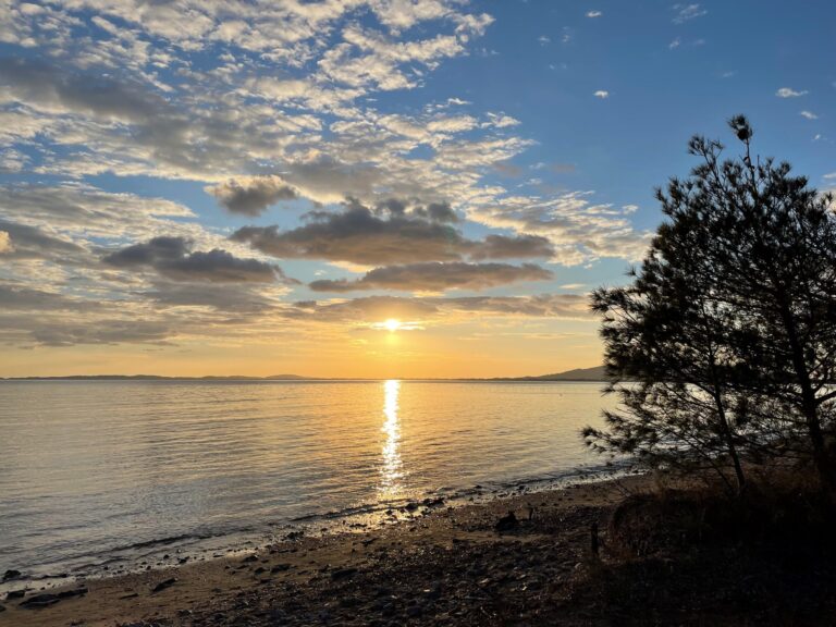 Météo à Toulon : journées ensoleillées prévues vendredi dans la région.