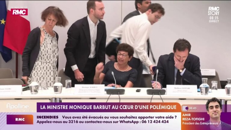 Polémique autour de la ministre Monique Barbut sur les nouvelles régulations environnementales.