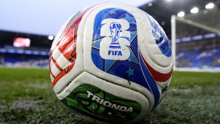 Pas de fan-zone pour la finale de la Coupe du monde de football à Toulon.