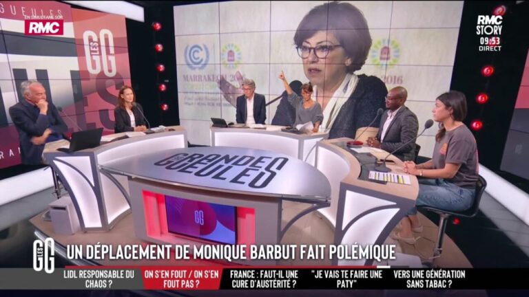 Déplacement de la ministre Monique Barbut : tensions au sein du ministère de la Transition écologique.