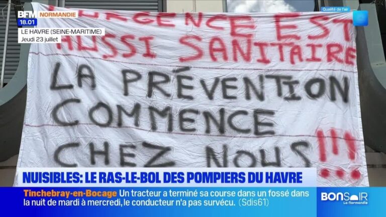 Le gouvernement annonce des mesures supplémentaires pour contrer la hausse des prix de l’énergie.